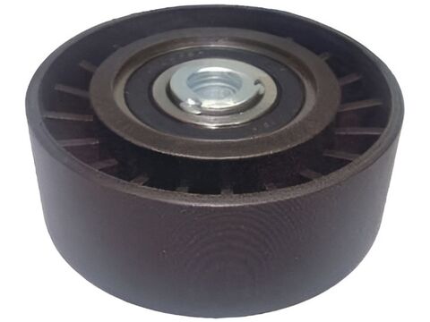 Polia Auxiliar Alternador Peugeot 206, 207,307 1.4 8V / 1.6 16V